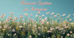 Kannada Captions for Instagram